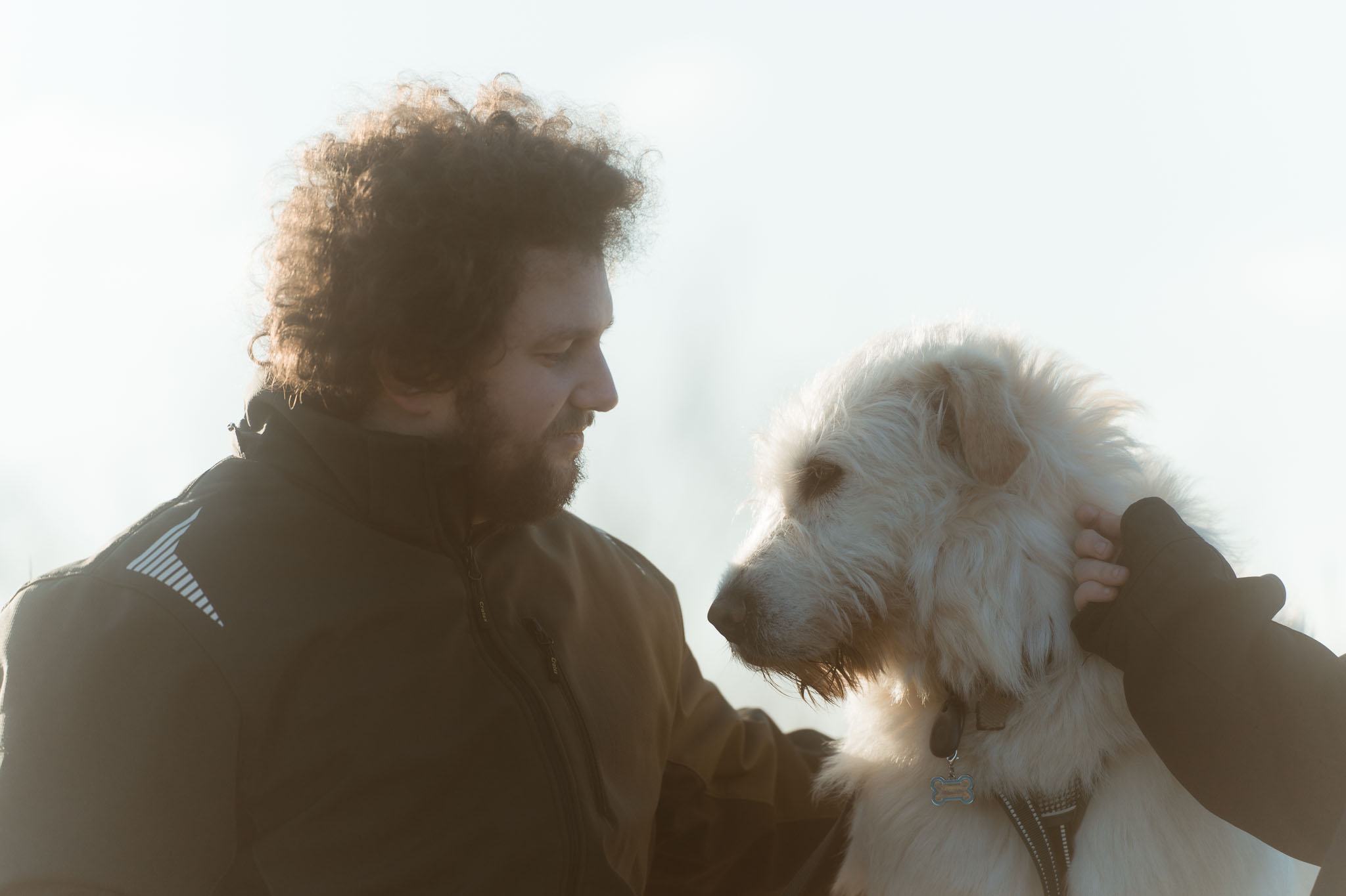Actiefoto van een hond op de Mookerheide tijdens een shoot van Mini Maxi Dogs