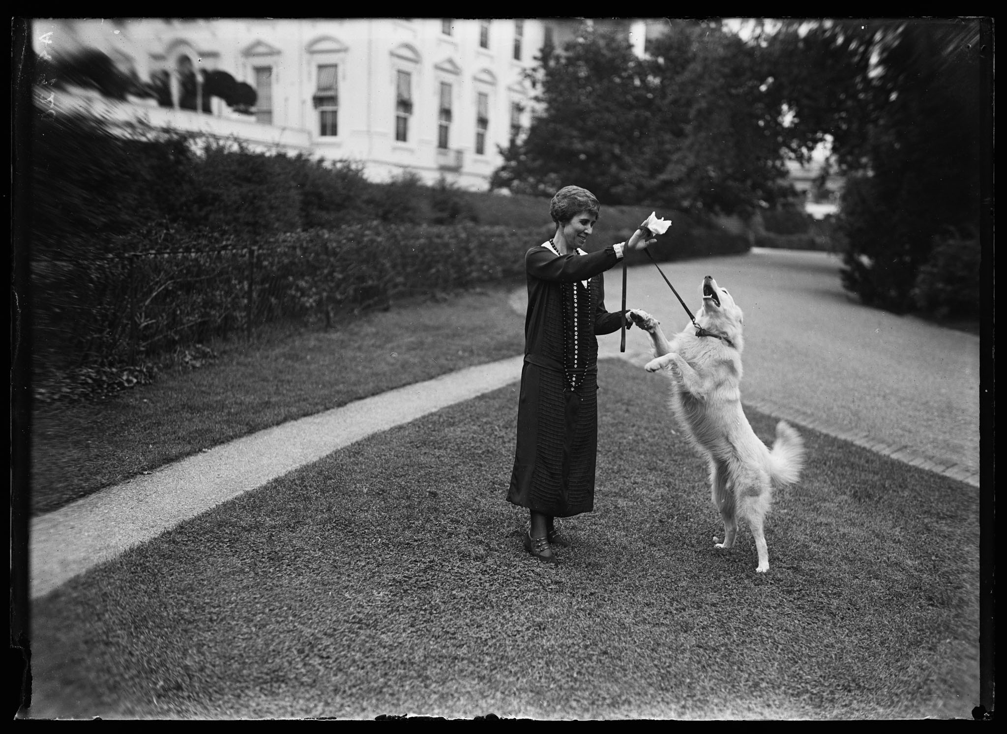 Klassieke foto van een vrouw die speels traint met haar hond op een gazon, symbool voor positieve hondentraining en hondenfotografie bij Mini Maxi Dogs in Herpen.