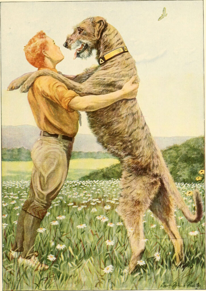 Klassieke illustratie van een jongen die een grote hond liefdevol omhelst in een bloemenveld, symbool voor samen ontdekken en positieve hondentraining bij Mini Maxi Dogs.
