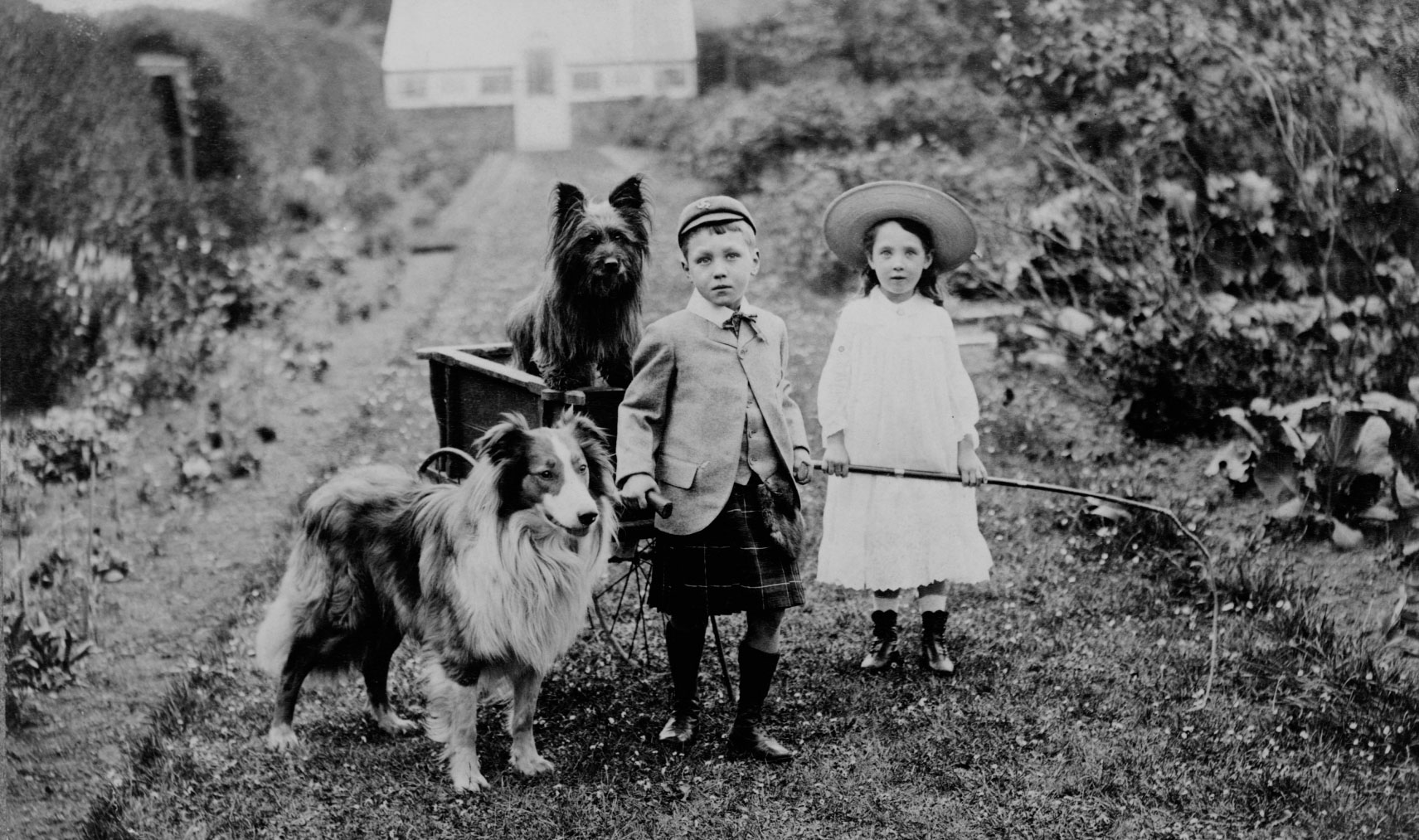 Klassieke foto van twee honden en twee kinderen met een bolderkar in een tuin, symbool voor de werkwijze en trajecten bij Mini Maxi Dogs in Herpen.